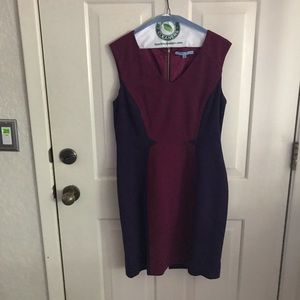 Beautiful Antonio Melani purple dress size 10